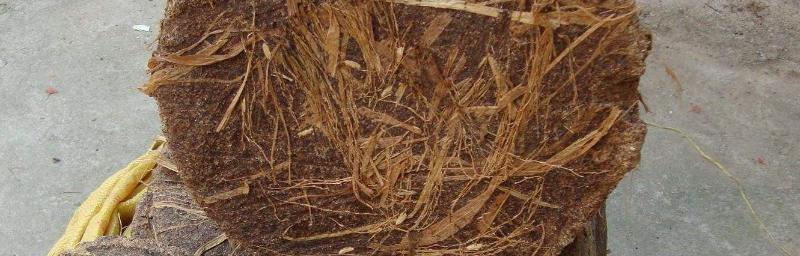 茶麸（生态种植新选择）