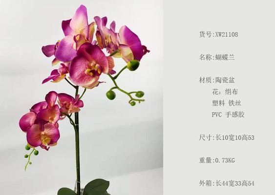 蝴蝶梅用大盆还是小盆更适合（花卉爱好者必读）