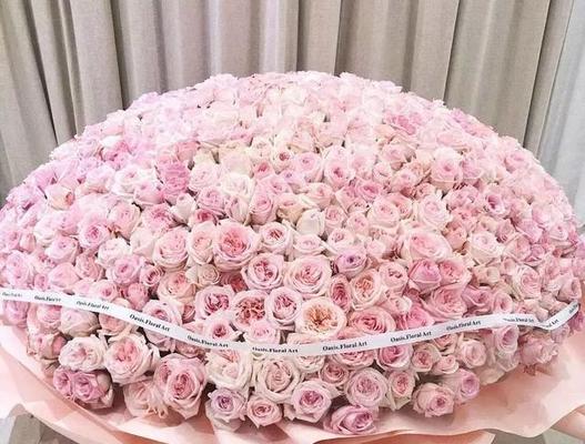 仰慕之花（以美丽和高贵诠释的花卉）