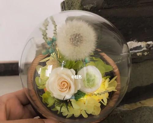永生花的花语、特点及养护秘籍（走近永生花）