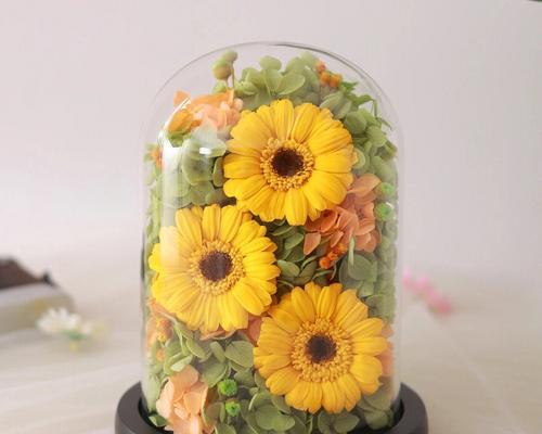 永生花花语与花语故事（揭示花朵背后的深刻含义）