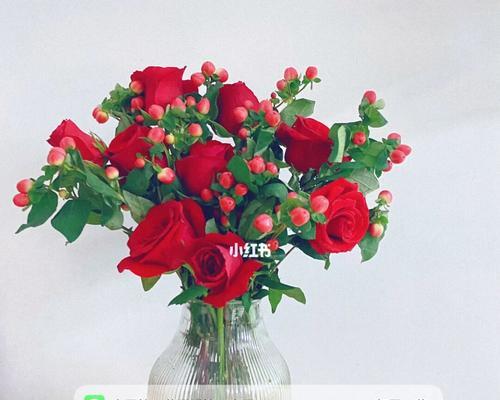 卡罗拉玫瑰花语（探索卡罗拉玫瑰花语的深层内涵与魅力）
