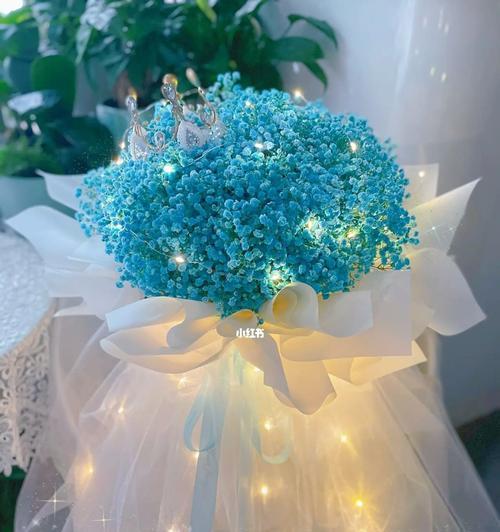 满天星花语南色，美丽而神秘（探索满天星花语南色的魅力与意义）