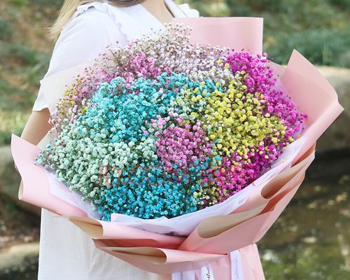 满天星鲜花的象征意义(探究满天星鲜花背后的内涵与寓意)
