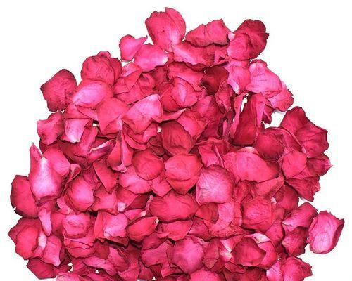 玫瑰花瓣的含义与象征（探寻玫瑰花瓣背后的深意）