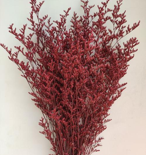 花语探秘（揭开花海中的爱情密码）