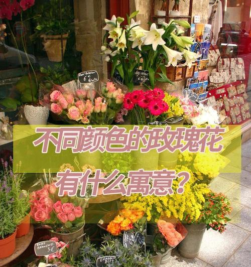 玫瑰花语(深入探索玫瑰的花语)
