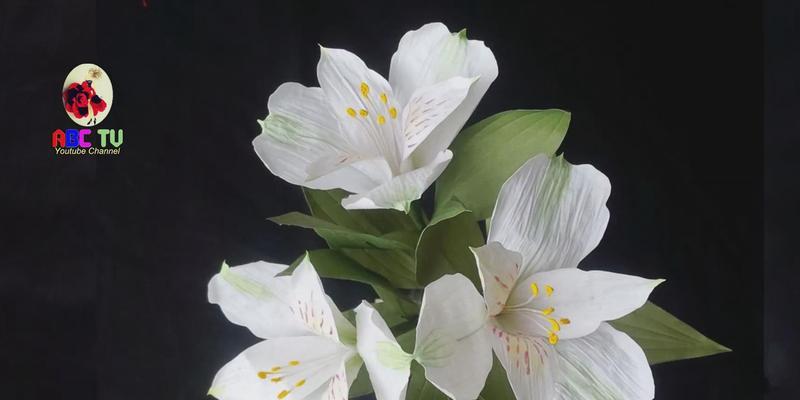 秘鲁百合花（探寻秘鲁百合花的花语及文化意义）