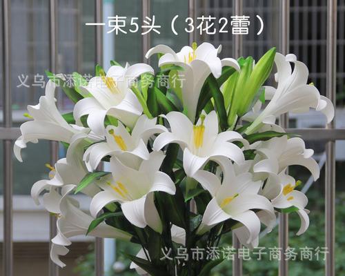 三头百合的意义及象征解读（探寻三头百合的神秘魅力）