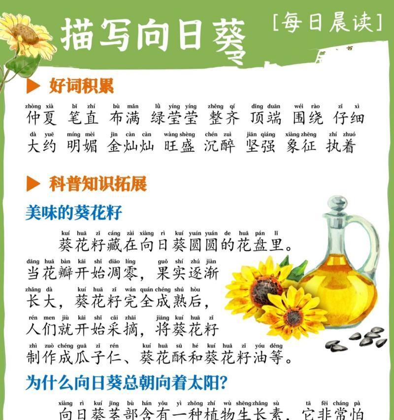 西瓜的浇水时间和方法（春夏秋冬）