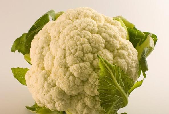 西兰花果实还是蔬菜？——探究西兰花的分类