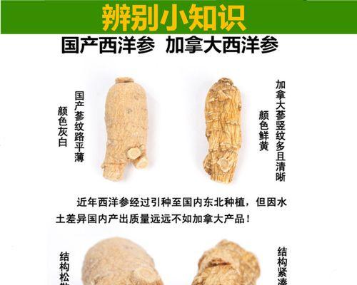 西洋参（正确的食用方法和注意事项）