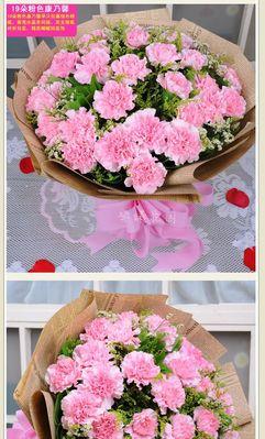 康乃馨朵数与情感的象征（以康乃馨朵数所代表的意义和象征性）