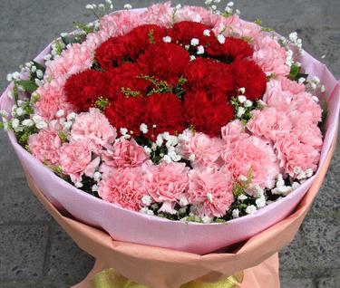 康乃馨花语与粉色的美丽寓意（深入解读康乃馨花语与粉色的意义）