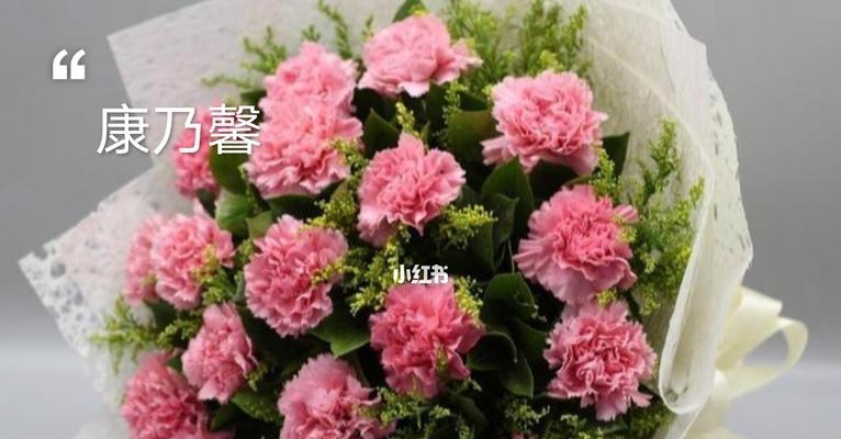 康乃馨,花开寓意永恒爱情(探寻康乃馨的花语与象征意义)