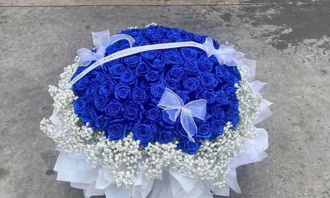 蓝色妖姬玫瑰花的花语探秘（揭开蓝色妖姬玫瑰花的神秘面纱）