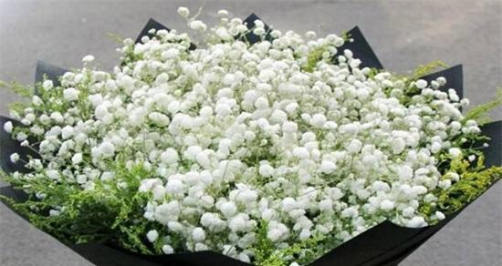 满天星的花语与意义（探寻满天星的奥秘与美丽）