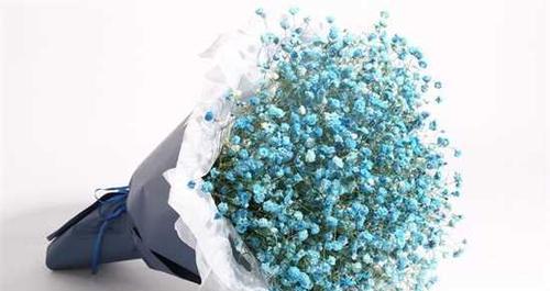 满天星的浪漫花语（用满天星传递爱意）