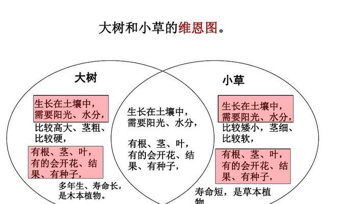 如何种植健康美味的菠菜（时间、种植方法、养护技巧一应俱全）