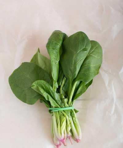 菠菜水培种植的方法（水培菠菜的优点和步骤）