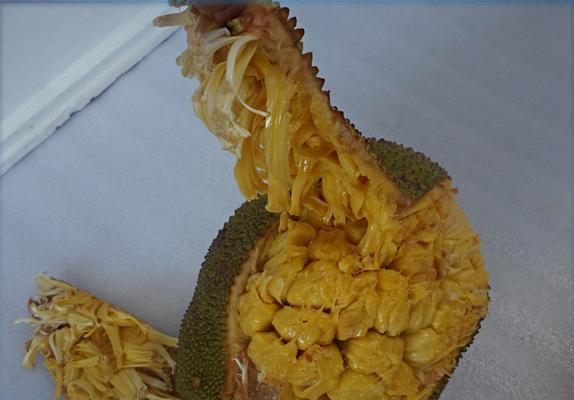菠萝蜜和榴莲的三大区别（从口感）