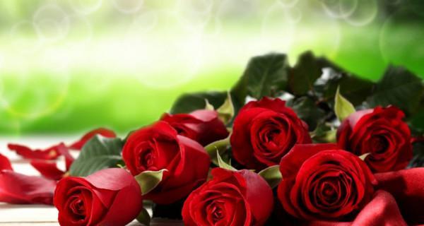 玫瑰花多少朵代表什么意思？每朵玫瑰花的含义是什么？
