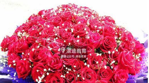 玫瑰花的朵数代表什么含义？不同朵数的玫瑰花有何特别含义？