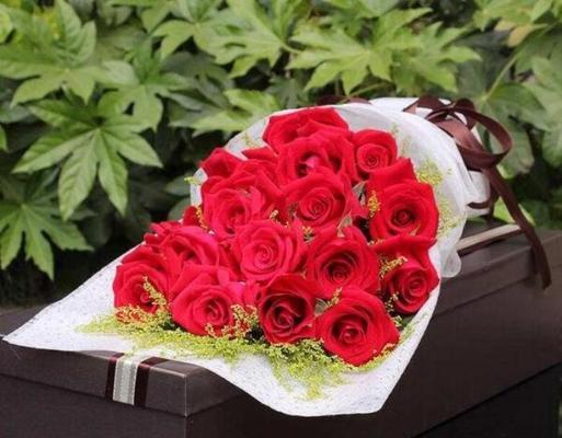 玫瑰花象征着什么品格？花语又是什么？