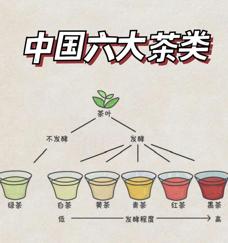 龟背竹浇水频率如何随季节变化？春夏秋冬浇水指南？