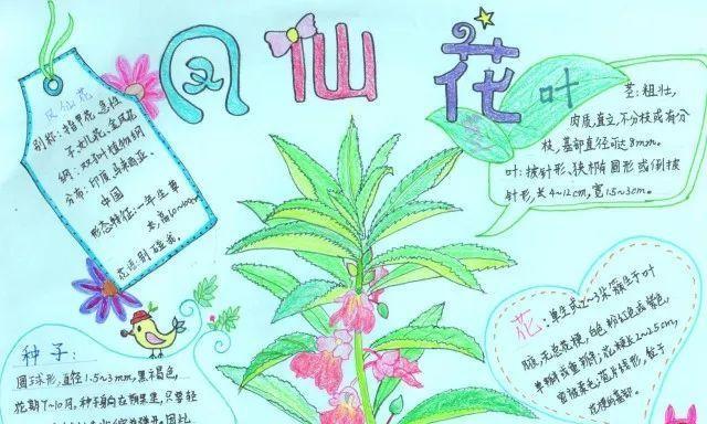 龟背竹浇水频率如何随季节变化？春夏秋冬浇水指南？