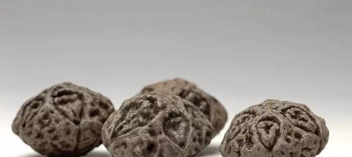 鬼脸菩提种子的来源是什么？如何鉴别其真伪？