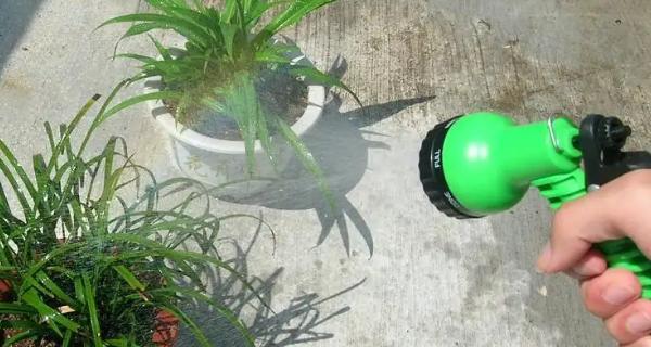 过期红酒可以用来浇花吗？如何正确使用过期红酒作为肥料？