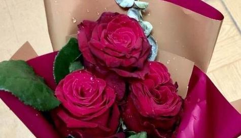 红玫瑰代表什么？花语含义与送花的正确场合是什么？