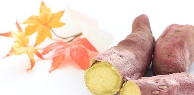 红薯含糖量高吗？糖尿病人可以吃红薯吗？