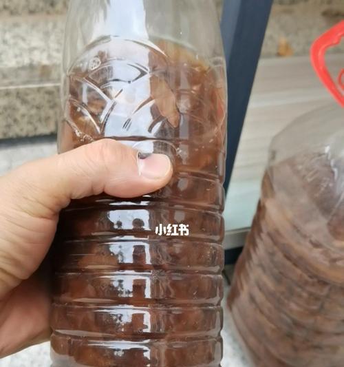 红糖水浇花的好处是什么？哪些花适合用红糖水浇灌？