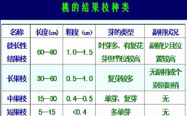 红桃k什么时候播种合适？播种前需要准备什么？