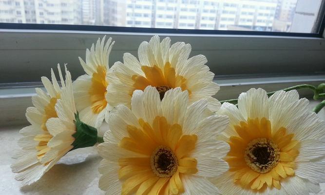 扶郎花的寓意是什么？扶郎花象征着什么含义？
