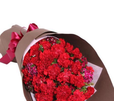 红色康乃馨代表什么含义?花语解读与购买指南?