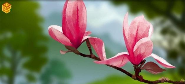 玉兰花象征着什么？关于玉兰花的传说有哪些？