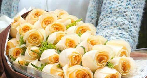 16朵玫瑰的花语是什么？如何正确表达爱意？