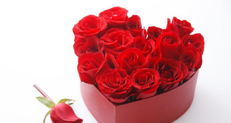 16朵玫瑰的花语是什么？如何正确表达爱意？