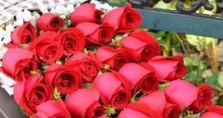 33朵玫瑰花语是什么？送花时需要注意哪些事项？