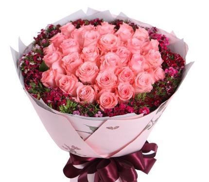 33朵玫瑰花的花语是什么？代表什么含义？