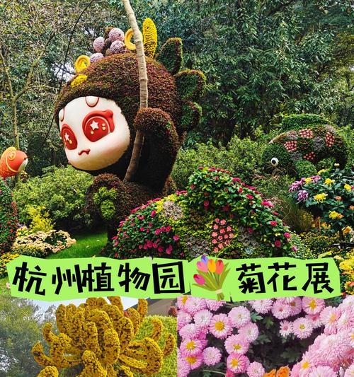杭州菊花展都有哪些菊花品种