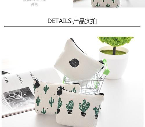 硬币和仙人掌