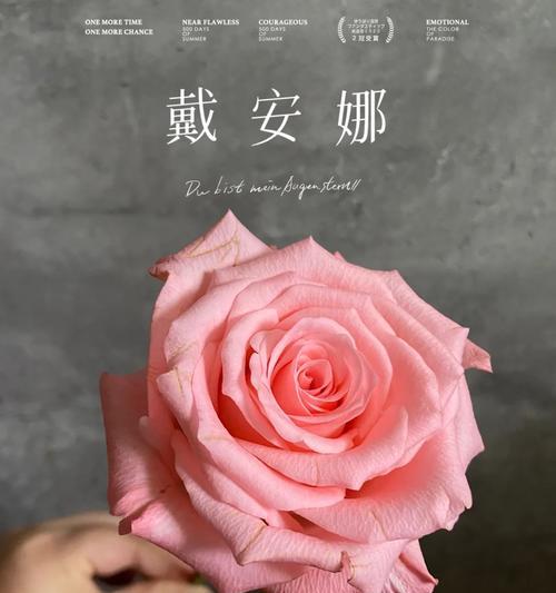 戴安娜和小白兔玫瑰搭配好吗图片