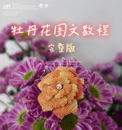 相机拍摄牡丹花技巧和方法图解大全
