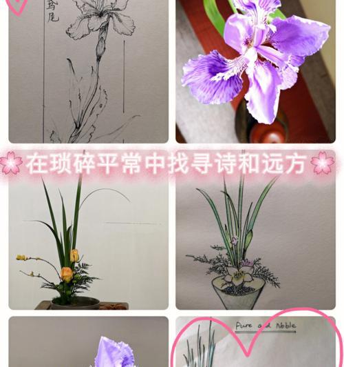 鸢尾插花制作方法图解视频教程