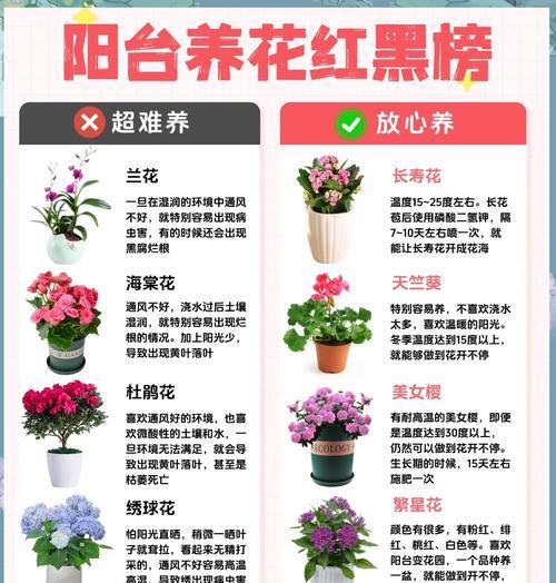 养花怎么样使用骨粉