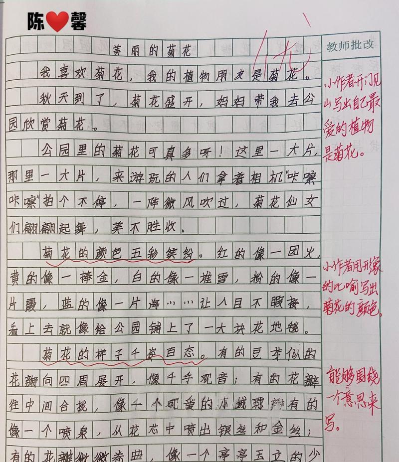 菊花的片段200字左右三年级上册